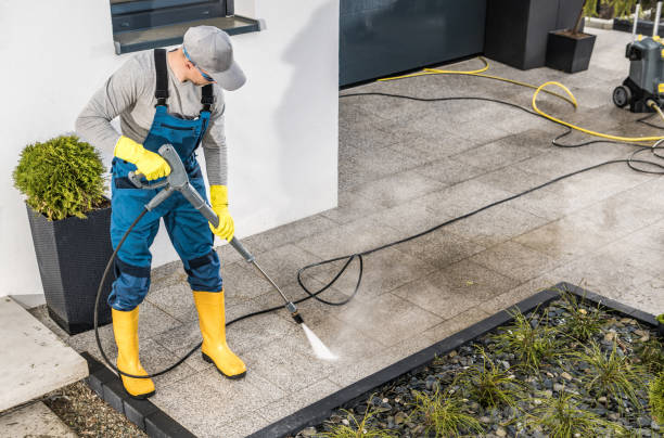 Best Best Pressure Washing Companies  in Romulus, MI